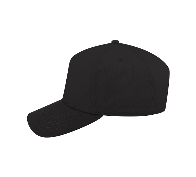 The Vision Signature Hat